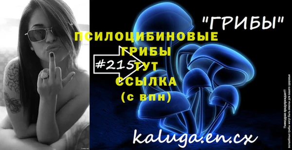 гидропоника Володарск
