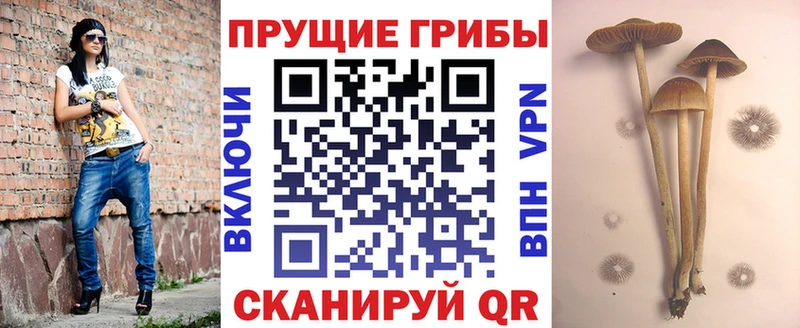 Галлюциногенные грибы прущие грибы Купить Звенигород